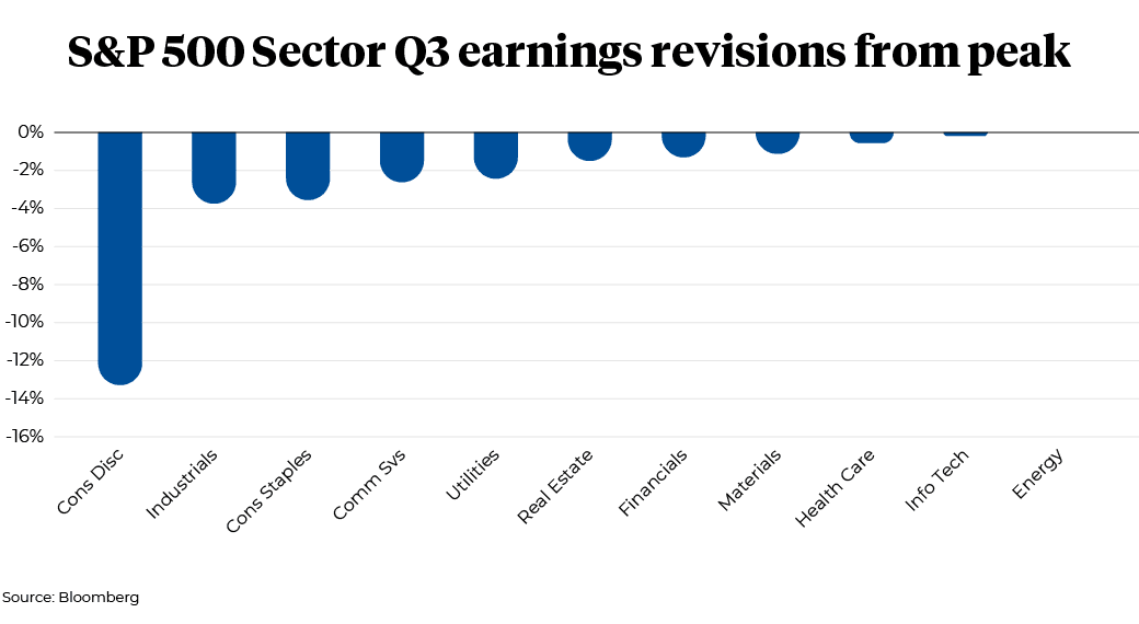 S&P 500 Sector Q3 earnings revisions from peak