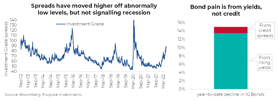 Spreads have moved higher off abnormally low levels but not signaling recession. Bond pain is from yields not credit. 