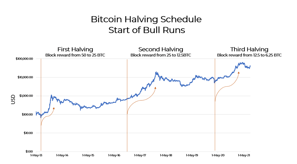 Bitcoin halving Schedule Start of Bull Runs