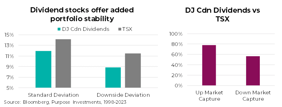 dividend stocks offer added portfolio stability