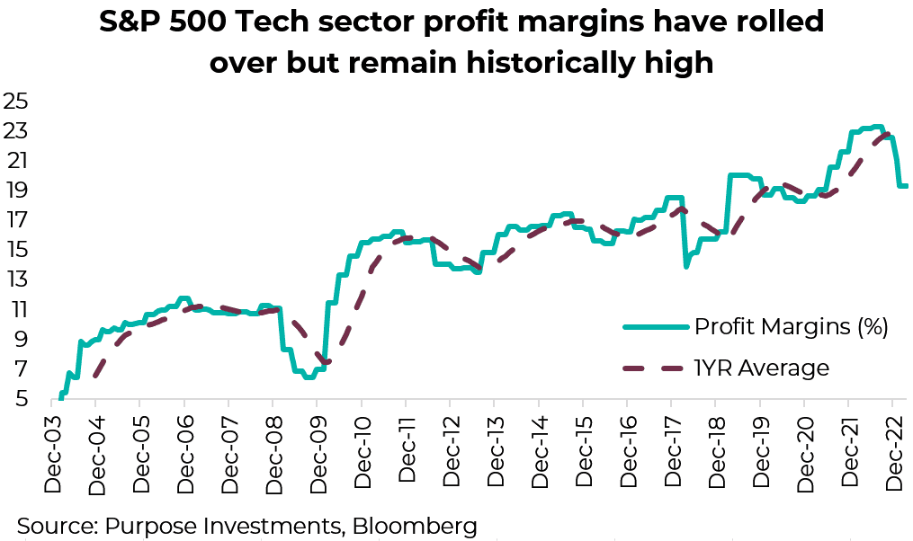 S&P 500 tech sector profit margins