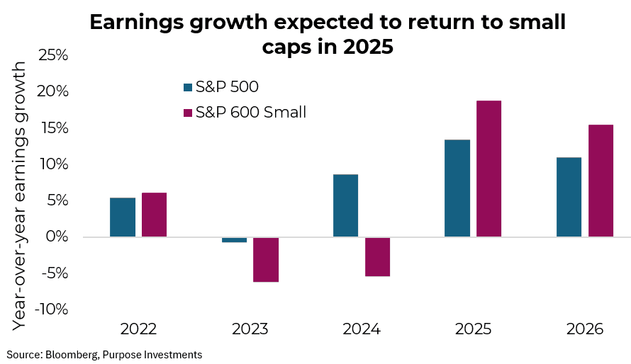 Earnings growth expected to return to small caps in 2025